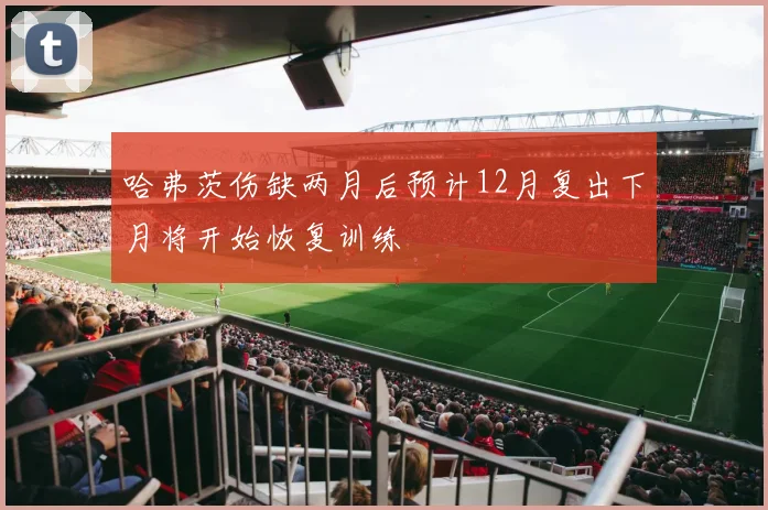 哈弗茨伤缺两月后预计12月复出下月将开始恢复训练
