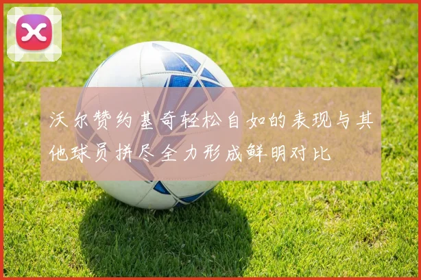 沃尔赞约基奇轻松自如的表现与其他球员拼尽全力形成鲜明对比