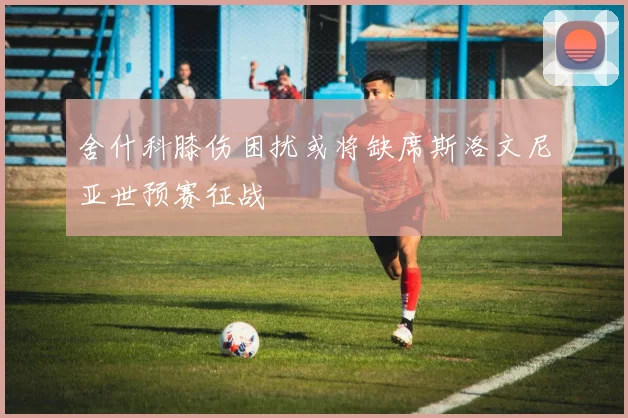 舍什科膝伤困扰或将缺席斯洛文尼亚世预赛征战